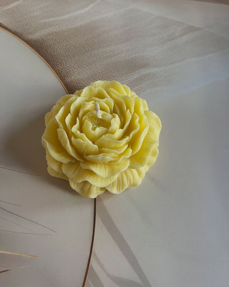 Lumière Poney Luxury Scented Candle