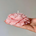 Lumière Poney Luxury Scented Candle