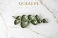 Aurum Botanica Leaf Tray – Olive Sage on White Marble | Qolachi Interiors