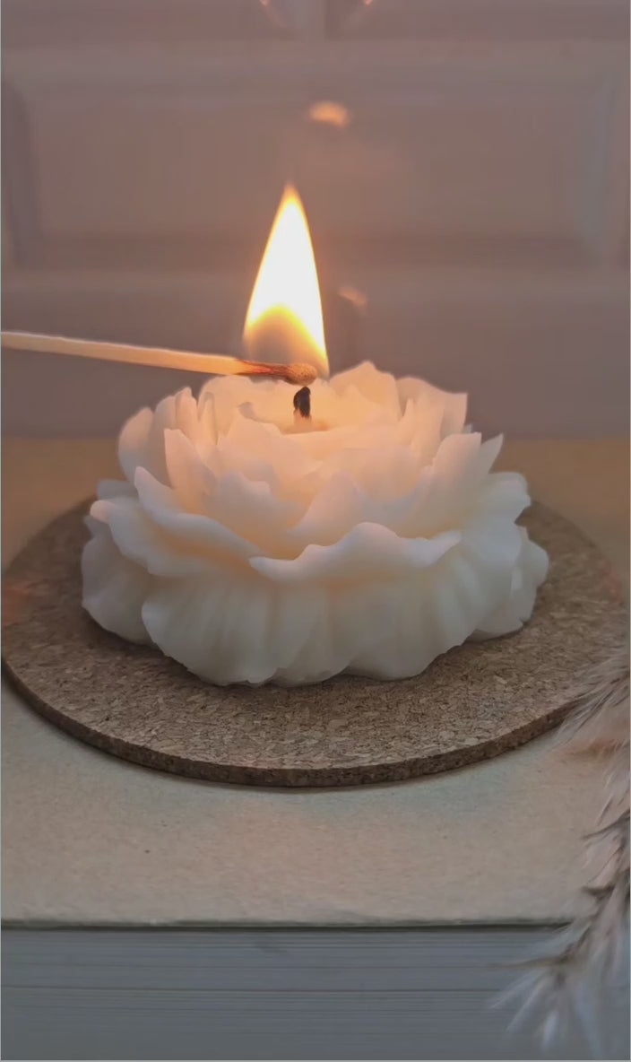 Lumière Poney Luxury Scented Candle